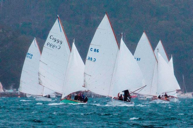Wagtail C86 leading the fleet in Saturday's blow, scratch Australian champion – Couta Boat Nationals ©  JaneLizzyEvans Photography
